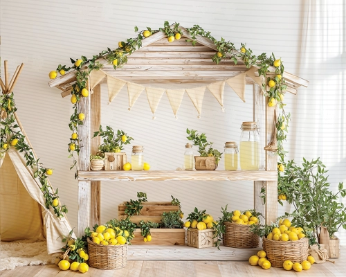 tlo-fotograficzne-stoisko-z-lemoniada-cytryny-summer-garden-sesja-dziecieca-CL1781.webp