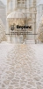 249x500.webp