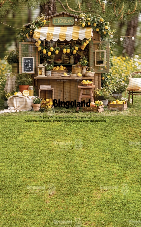 249x400.webp