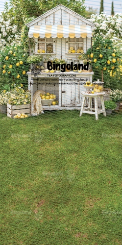 249x500.webp