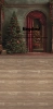 249x500.webp