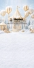250x500.webp