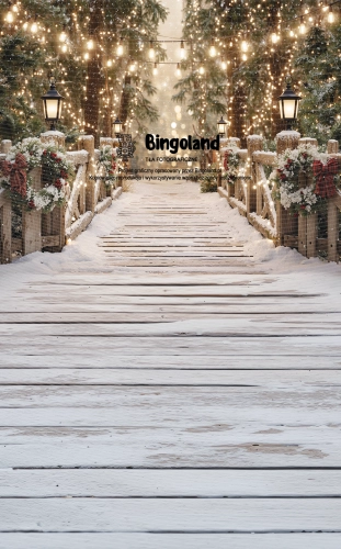 tlo-fotograficzne-zimowy-most-w-lesie-swiatelka-Z838.webp