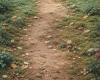 Tło fotograficzne Magiczna Biblioteka w Lesie CL 1834