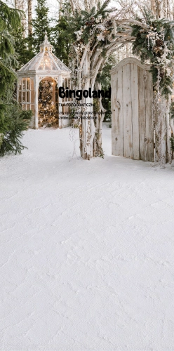 bozonarodzeniowe-tlo-fotograficzne-drewniana-brama-szklarnia-250x500.webp