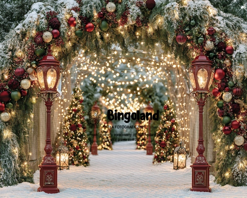 swiateczne-tlo-fotograficzne-magiczny-zimowy-ogrod-lampki-250x200.webp