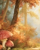 Tło fotograficzne jesienne – Magiczny Las z Muchomorami CL 1864
