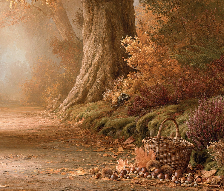 tło fotograficzne jesienne las drzewa  CL 1865