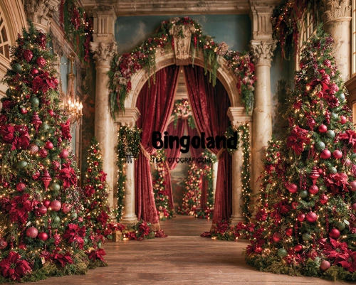 tlo-fotograficzne-boze-narodzenie-palacowe-wnetrze-250x200.webp