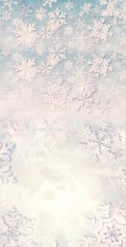 Z194  Świąteczne tło fotograficzne.jpg