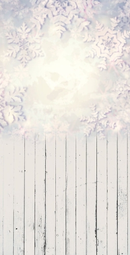 Z193  Świąteczne tło fotograficzne.jpg