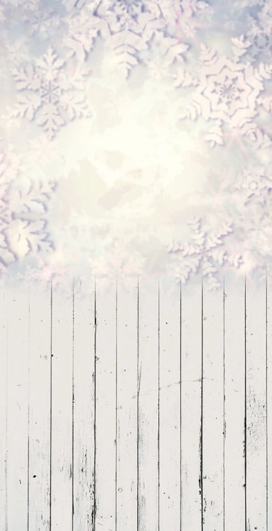 Z193  Świąteczne tło fotograficzne.jpg