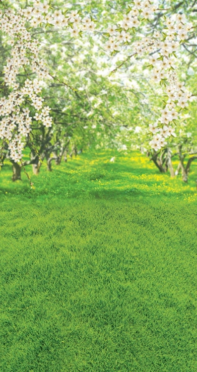 cl645 tło fotograficzne kwiaty ogród ogrod wiosna lato.jpg