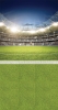 CL708  tło fotogragiczne boisko stadion.jpg