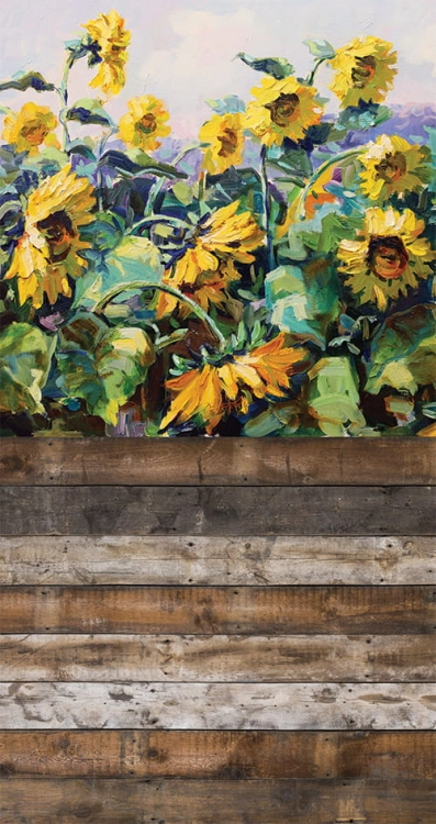 CL710  tło fotogragiczne wiosna kwiaty słoneczniki.jpg