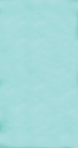 CL719 Miętowe tło fotograficzne.jpg