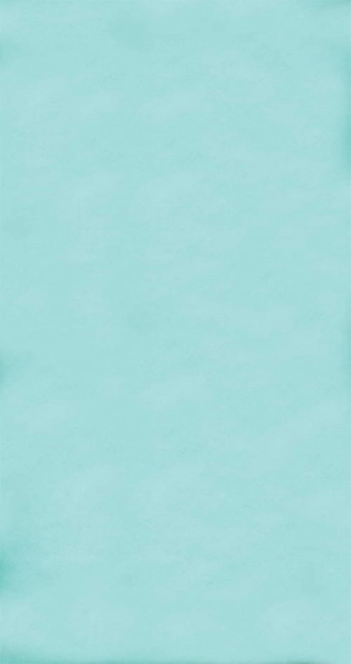 CL719 Miętowe tło fotograficzne.jpg