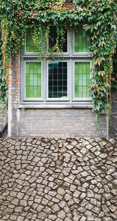 CL738 komunijne tło fotograficzne okno.jpg