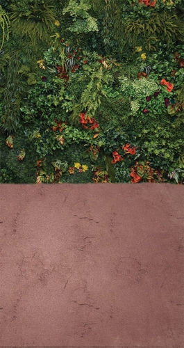 CL773  tła fotograficzne ściana rośliny.jpg