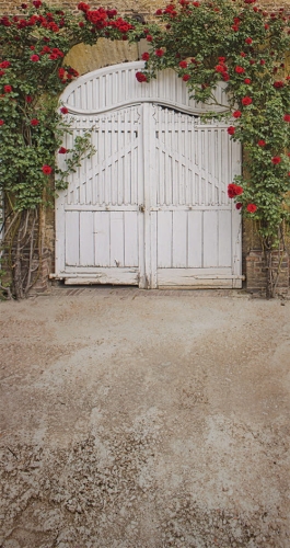 CL780  tła fotograficzne komunijne drzwi róże.jpg