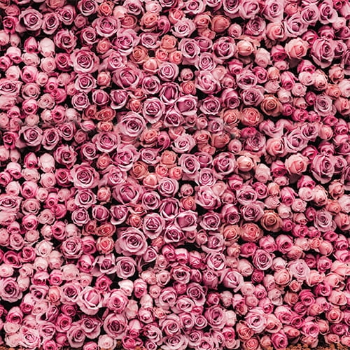 PARTY06 Tło fotograficzne fotobudka  kwiaty.jpg