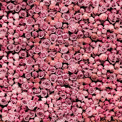 PARTY06 Tło fotograficzne fotobudka  kwiaty.jpg