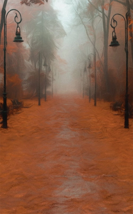 tło fotograficzne jesienne jesień las  CL 815.jpg