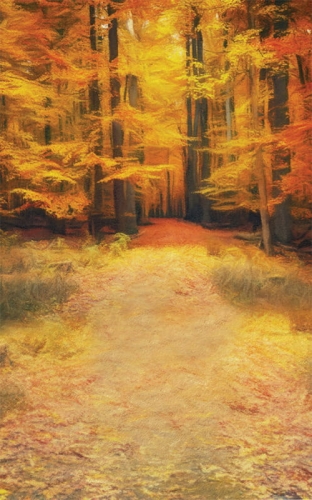 tło fotograficzne jesienne jesień las  CL 816.jpg