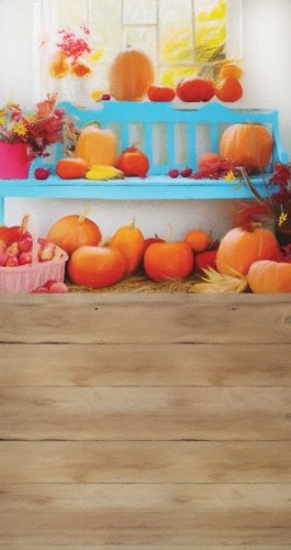 CL682  tło fotograficzne dynia dynie jesień.jpg