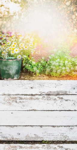 275  Winylowe tło fotograficzne kwiaty www.bingoland.pl.jpg