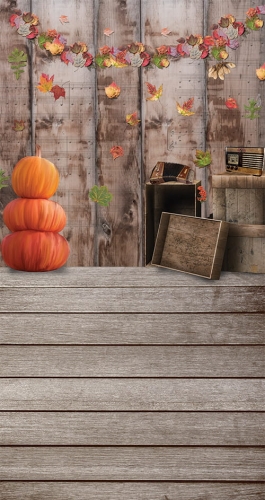 CL666 tło fotograficzne jesień jesienne 2.jpg