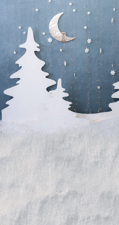 Z228  Świąteczne tło fotograficzne.jpg