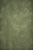 Tło fotograficzne zielone Fine Art CL 924.jpg
