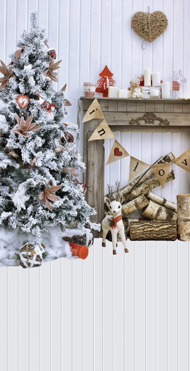 Z182  Świąteczne tło fotograficzne www.bingoland.pl.jpg