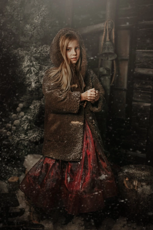 Tło fotograficzne Święta.jpg