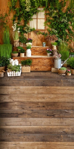 Tło fotograficzne wiosna wiosenne okno CL 934.jpg