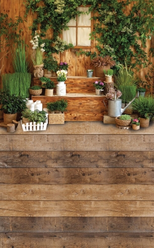 Tło fotograficzne wiosna wiosenne okno CL 934.jpg