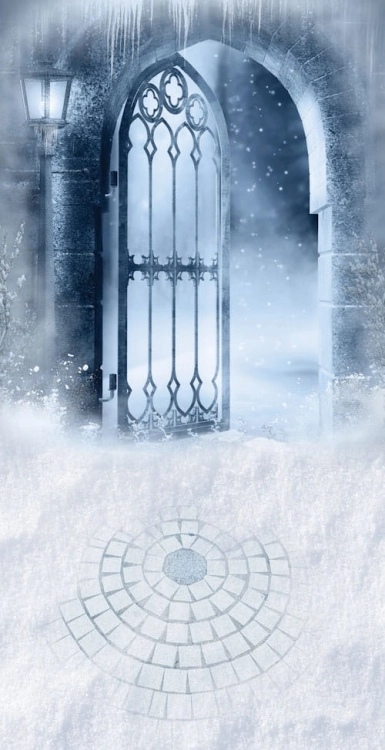 Z166  Świąteczne tło fotograficzne zimowe wrota  www.bingoland.pl.jpg