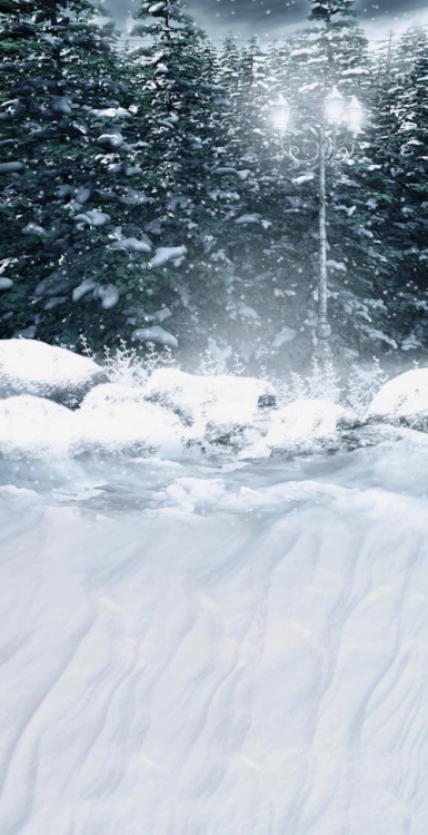 Z164  Świąteczne tło fotograficzne zimowy las  www.bingoland.pl.jpg