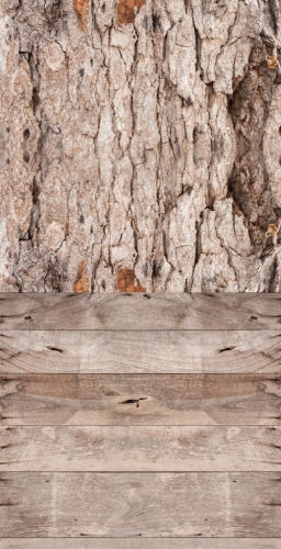 316  Winylowe tło fotograficzne drewniana ścianka www.bingoland.pl.jpg