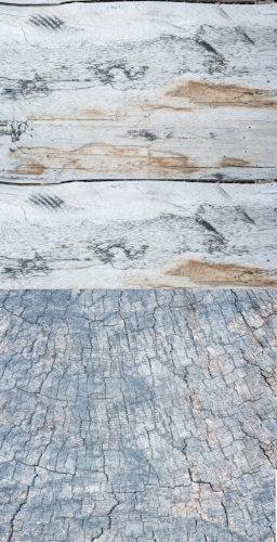 319  Winylowe tło fotograficzne  www.bingoland.pl.jpg