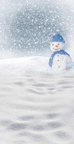 tło fotograiczne bałwanek.jpg