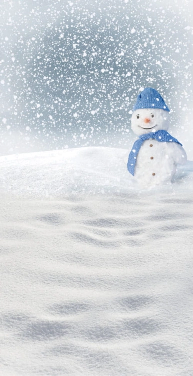 Z168 Świąteczne tło fotograficzne www.bingoland.pl.jpg