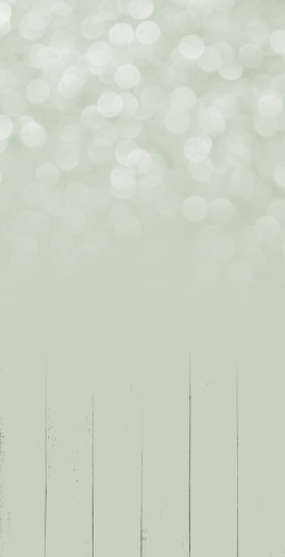 354 Winylowe tło fotograficzne simple bokeh www.bingoland.pl.jpg