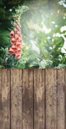 274  Winylowe tło fotograficzne kwiaty www.bingoland.pl.jpg