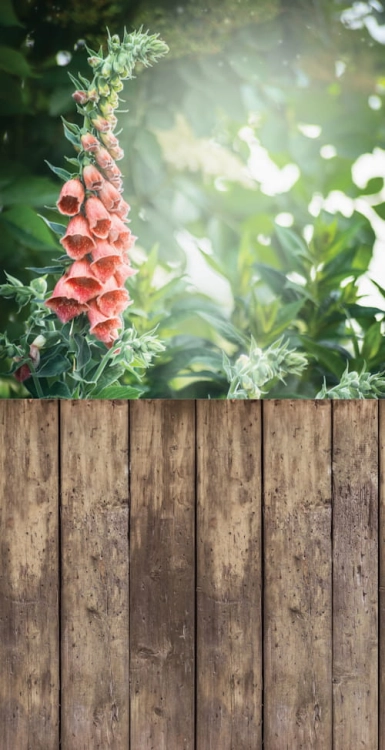 274  Winylowe tło fotograficzne kwiaty www.bingoland.pl.jpg