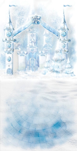 Z173  Świąteczne tło fotograficzne www.bingoland.pl.jpg