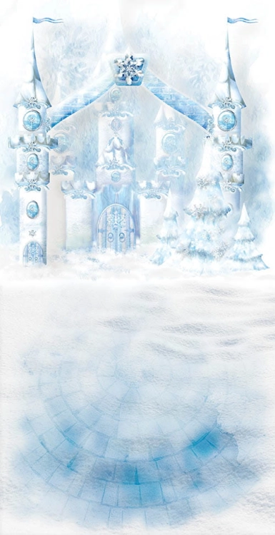 Z173  Świąteczne tło fotograficzne www.bingoland.pl.jpg