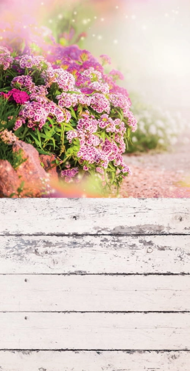 273 Winylowe tło fotograficzne kwiaty www.bingoland.pl.jpg