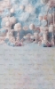 CL1273.jpg